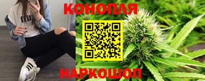 гидропоника Можга