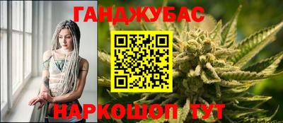 гидропоника Можга